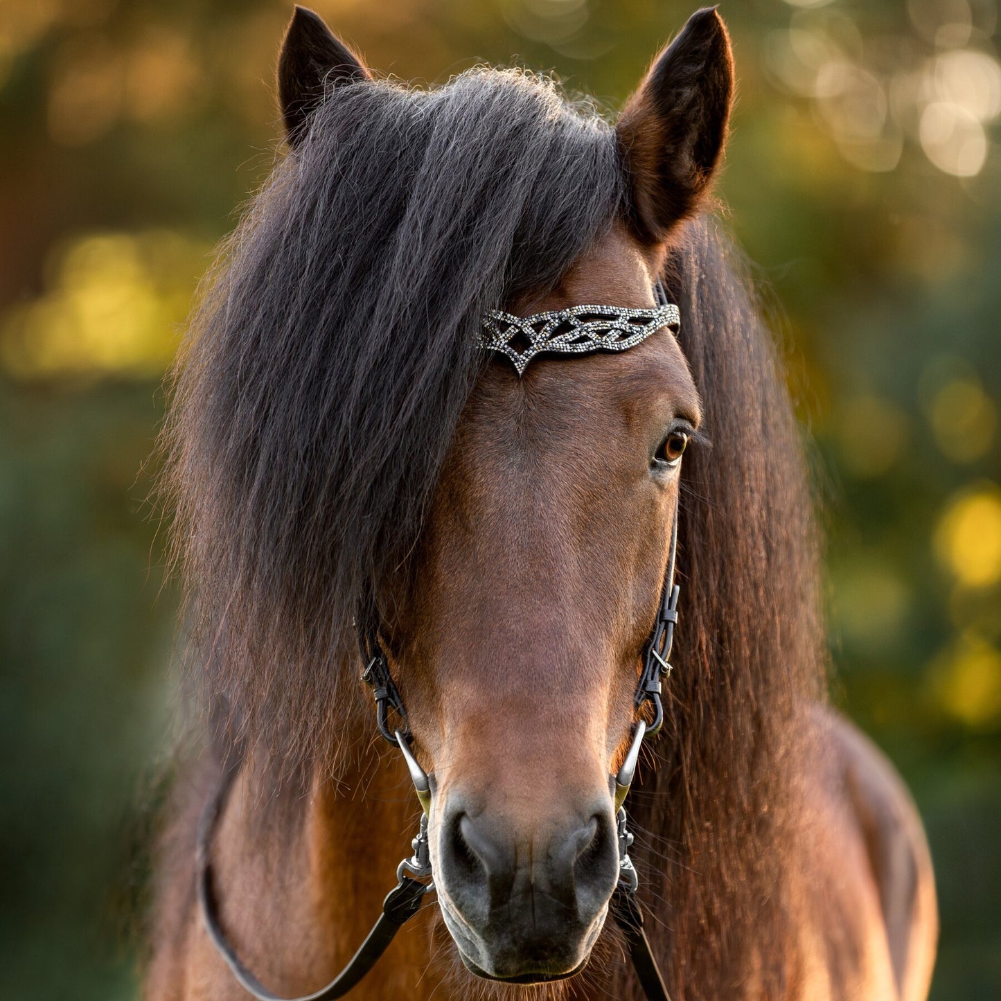 Headstall Heritage B - Fire & Ice