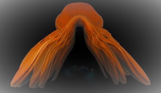 Universal Gullet Kloss