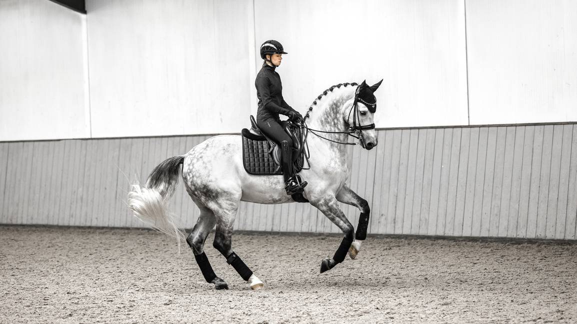 LM Loire Classic Dressyrklädsel Svart