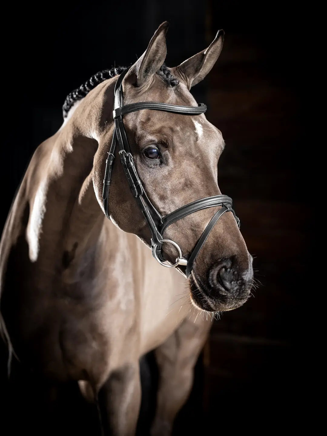 LM Arika Flash Bridle, Sort