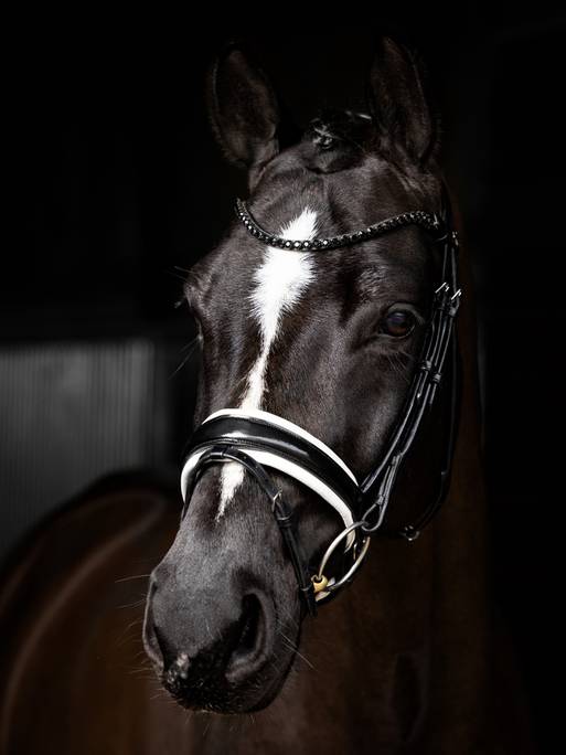 Kudos Patent Dressage Bridle Svart/Vit