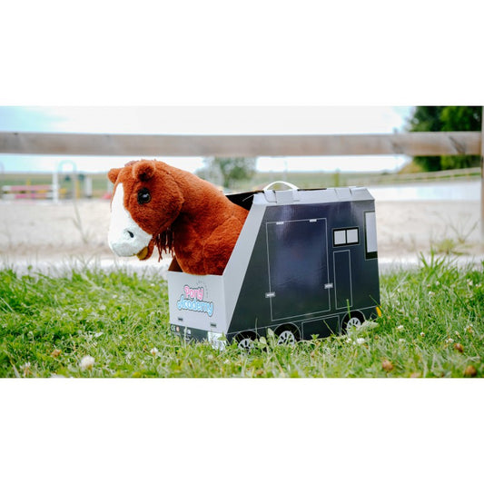 Mini-poney Jumpy - PONY ACADEMY