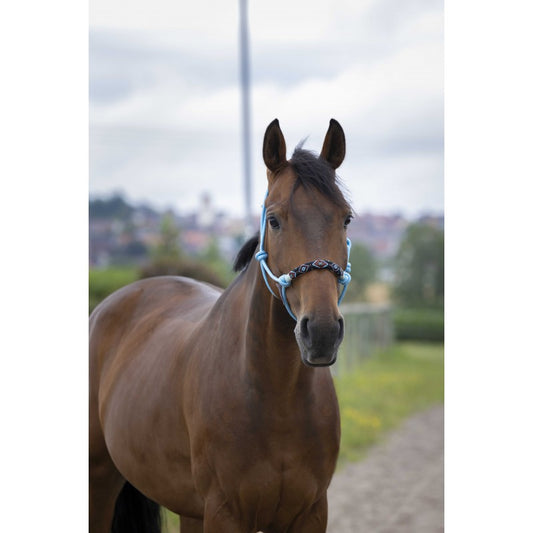 NORTON - Pärla - Etologisk grimma