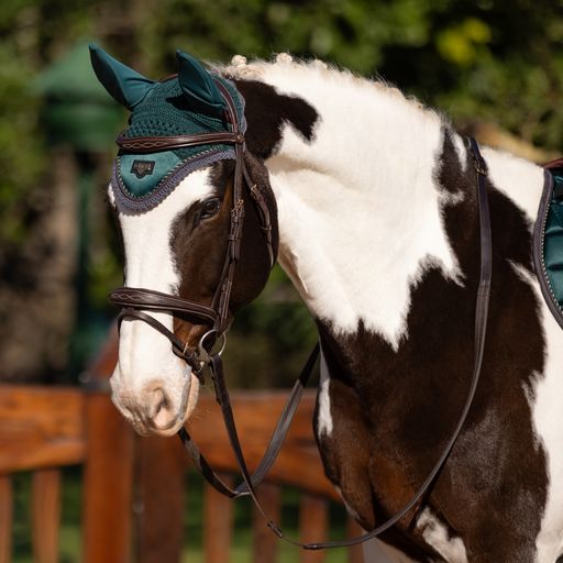 Loire Fly Hood Spruce