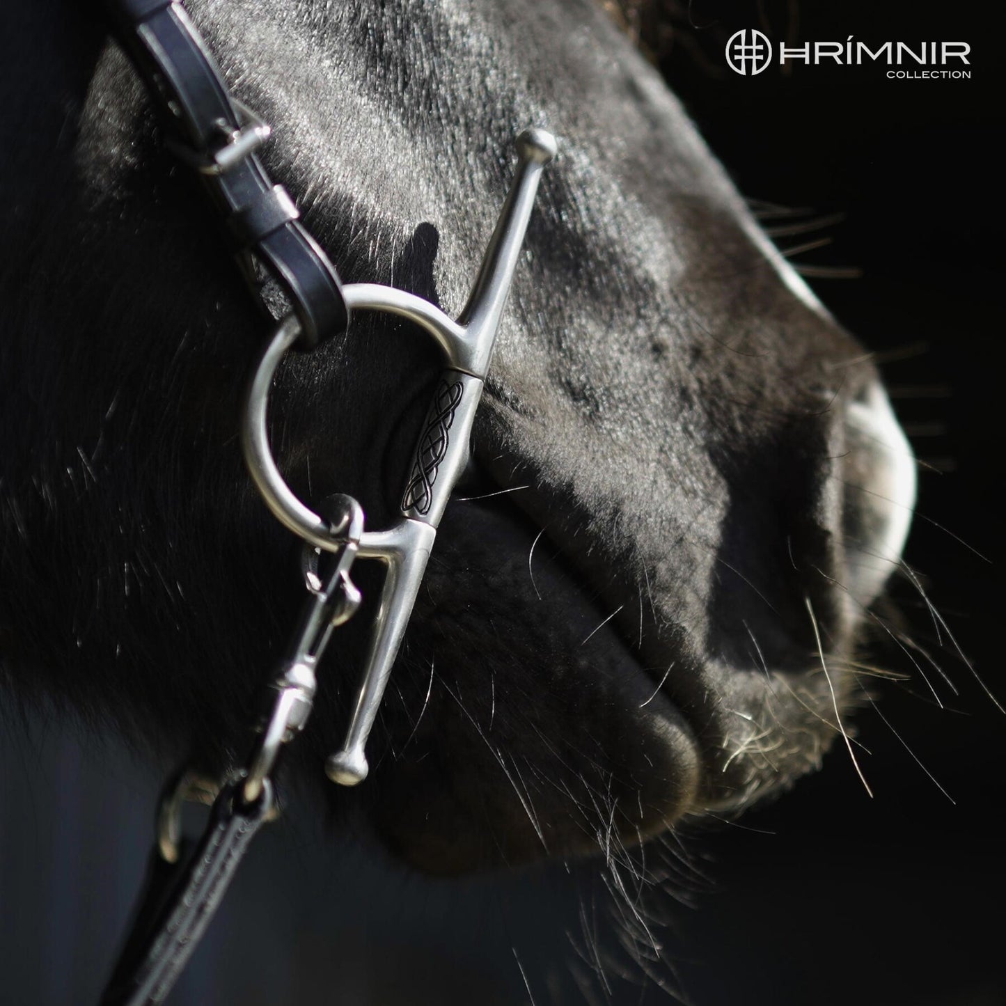 Hrímnir Full Cheek Träningsbett