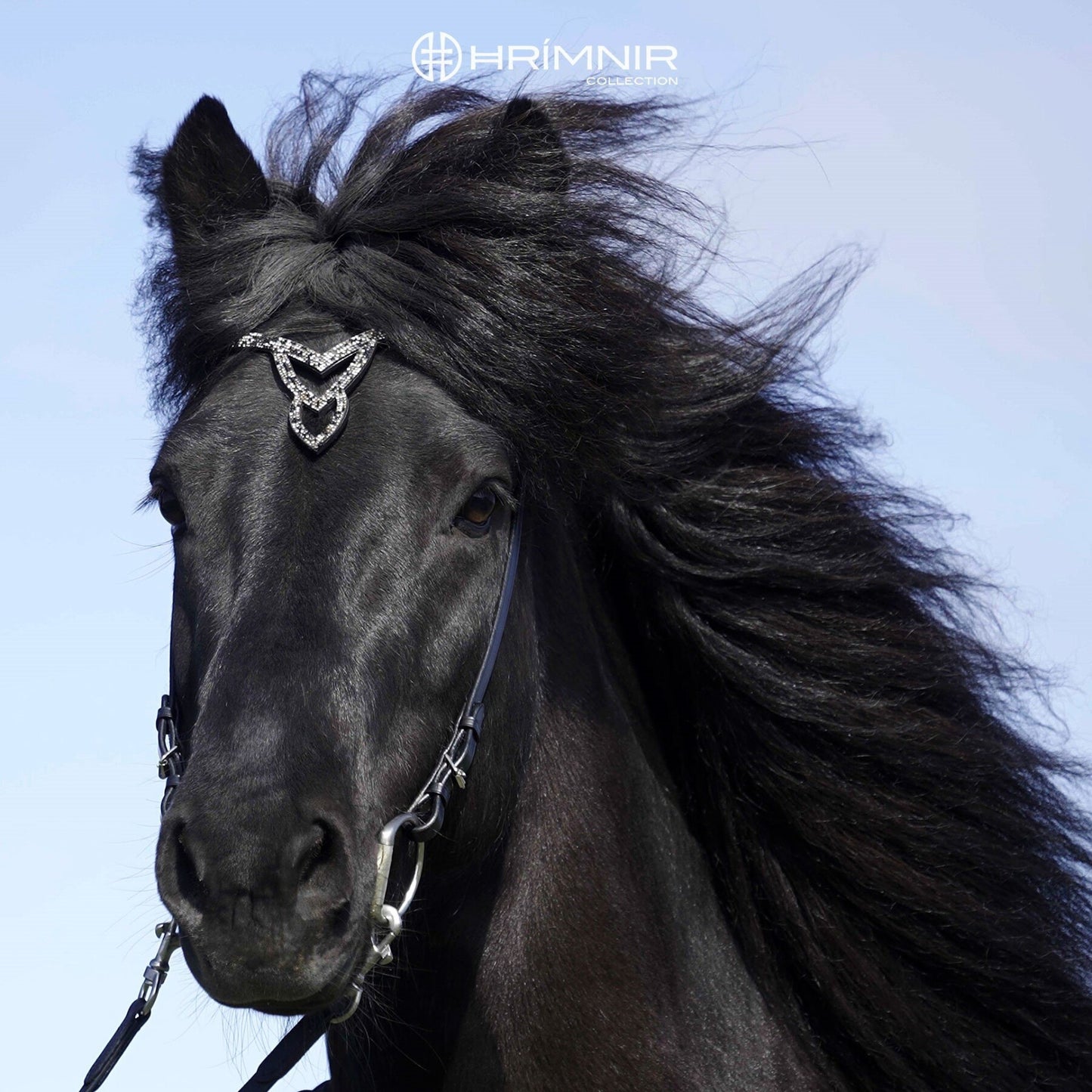 Grimma Heritage - Unity