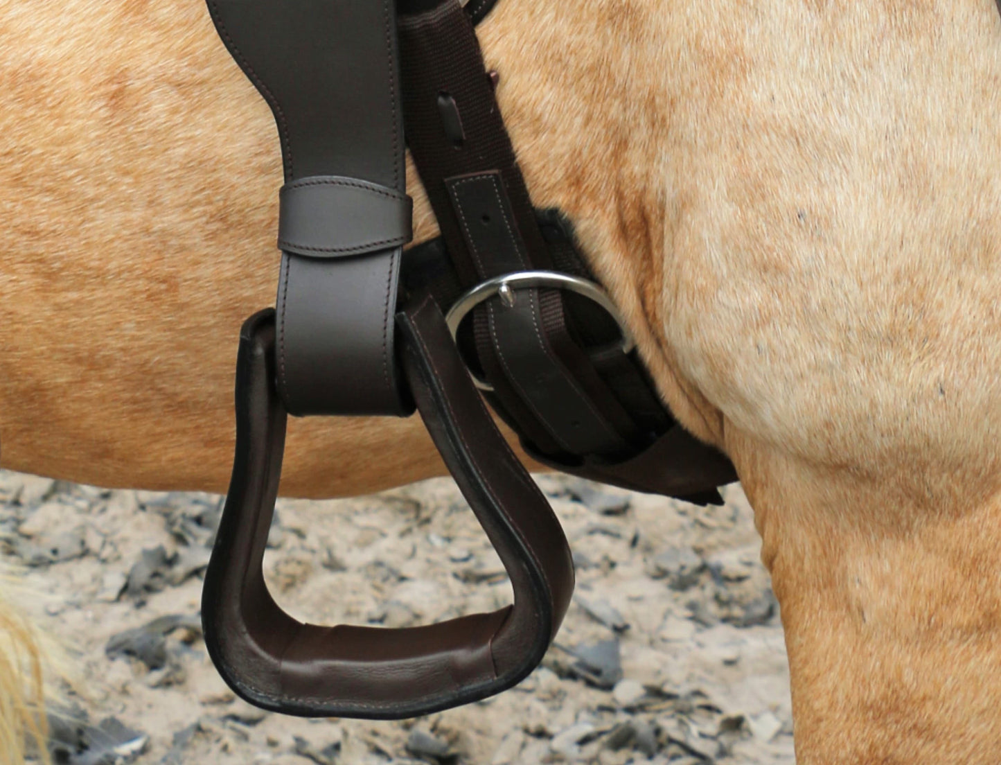 F.R.A. elastic western girth