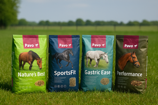 🐴 Pavo – kvalitet och omsorg i varje tugga