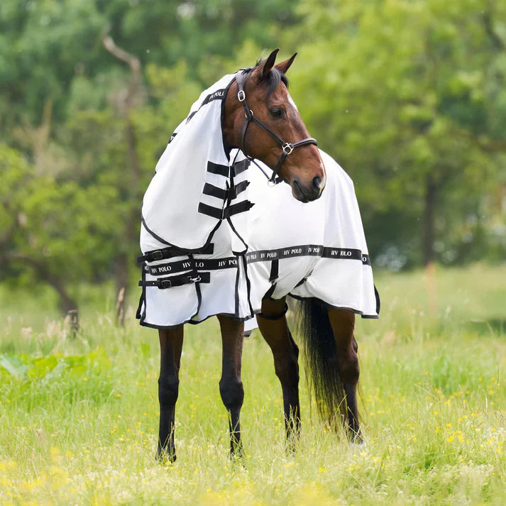 Flug- och Eksemtäcken