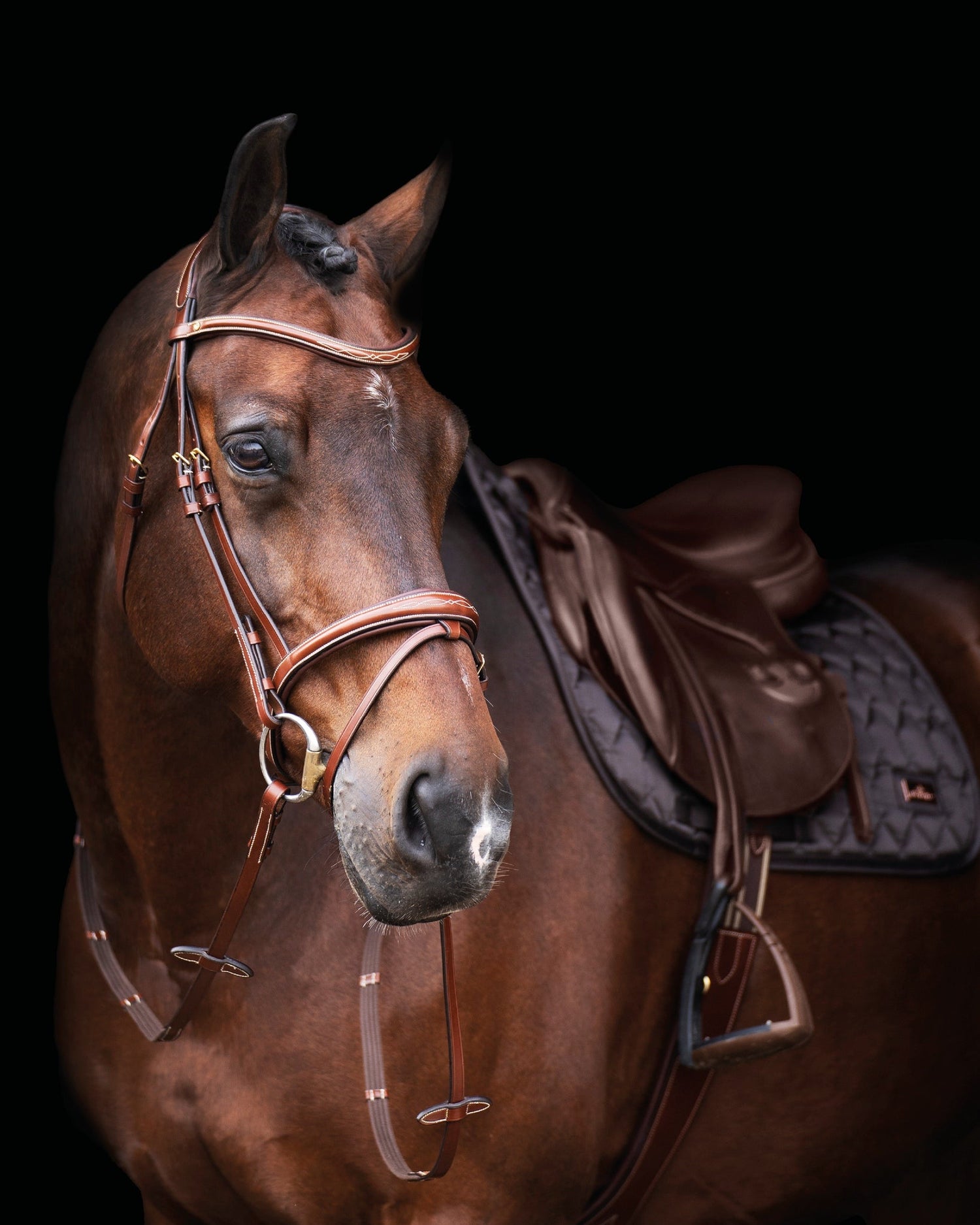 Träns & Tränstillbehör