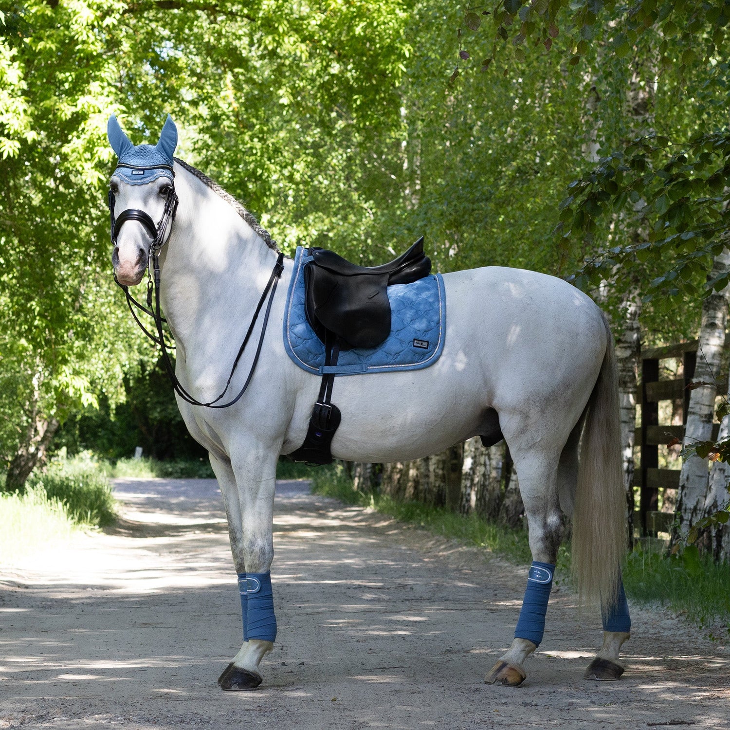 Schabrak, Paddar & Huvor