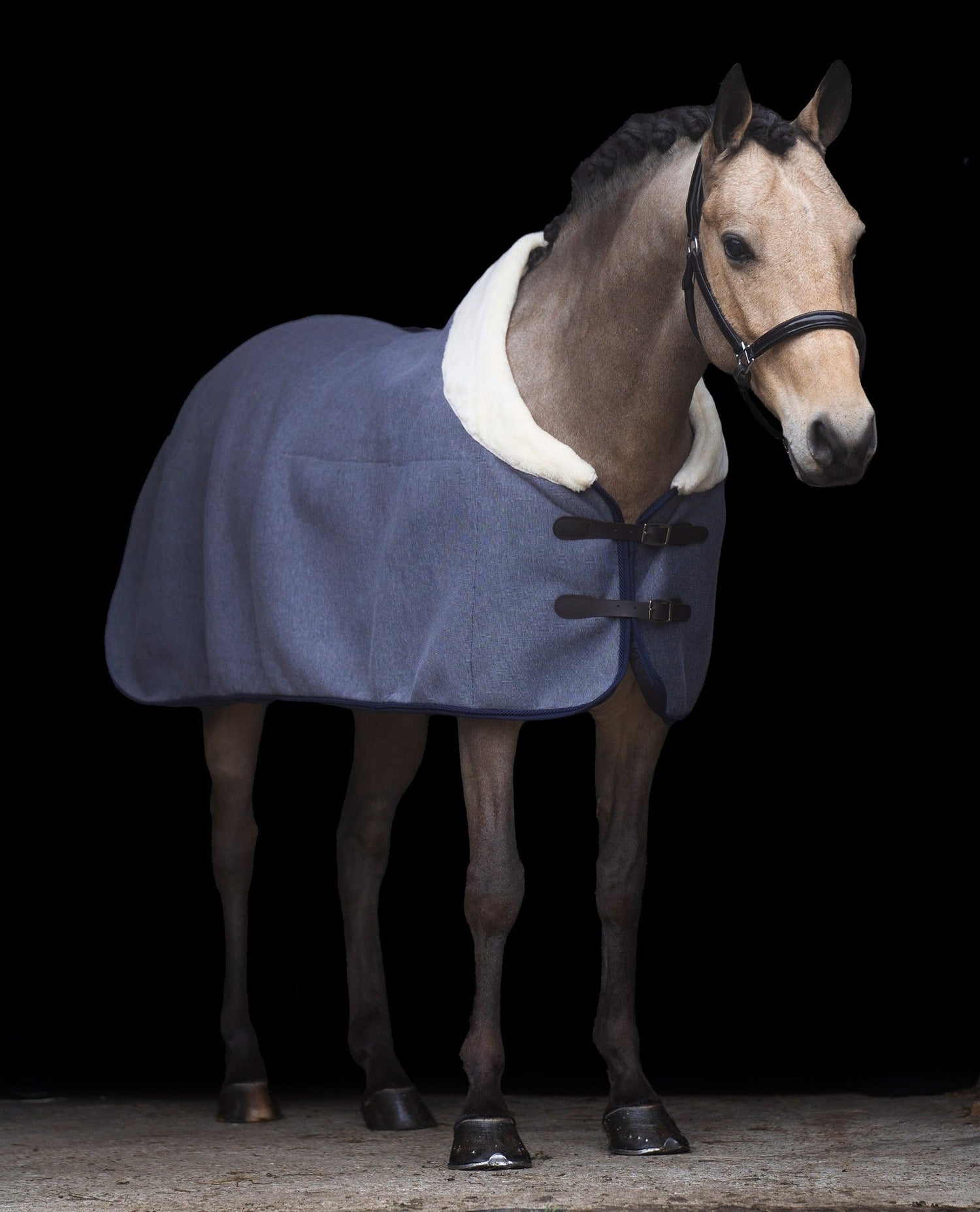 Fleece- & Stalltäcken