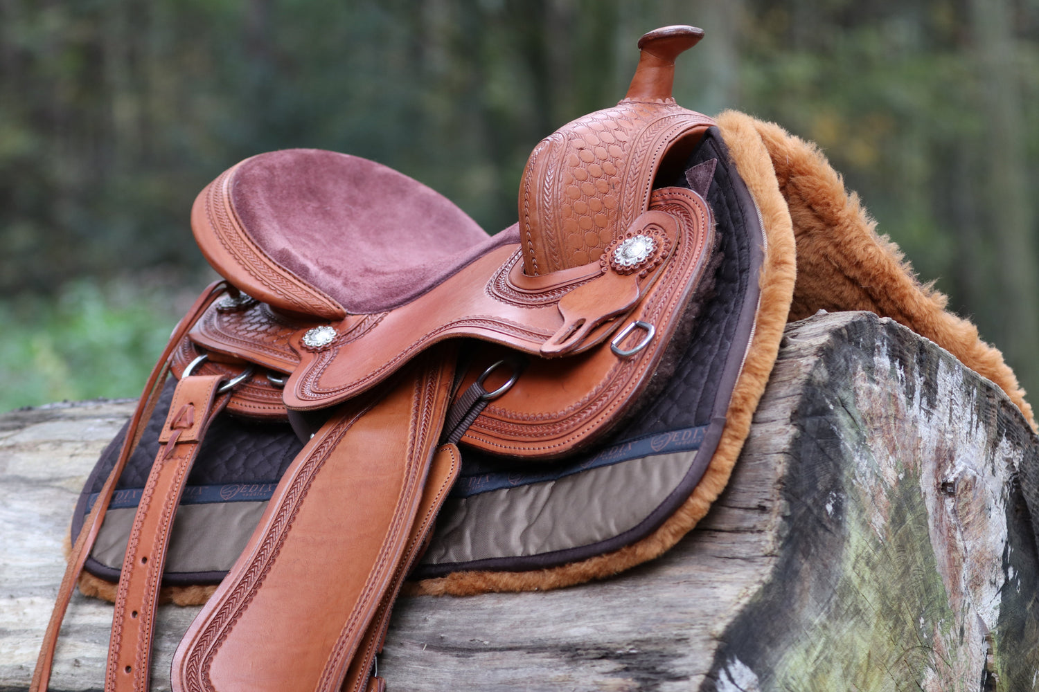 Western Sadlar och tillbehör