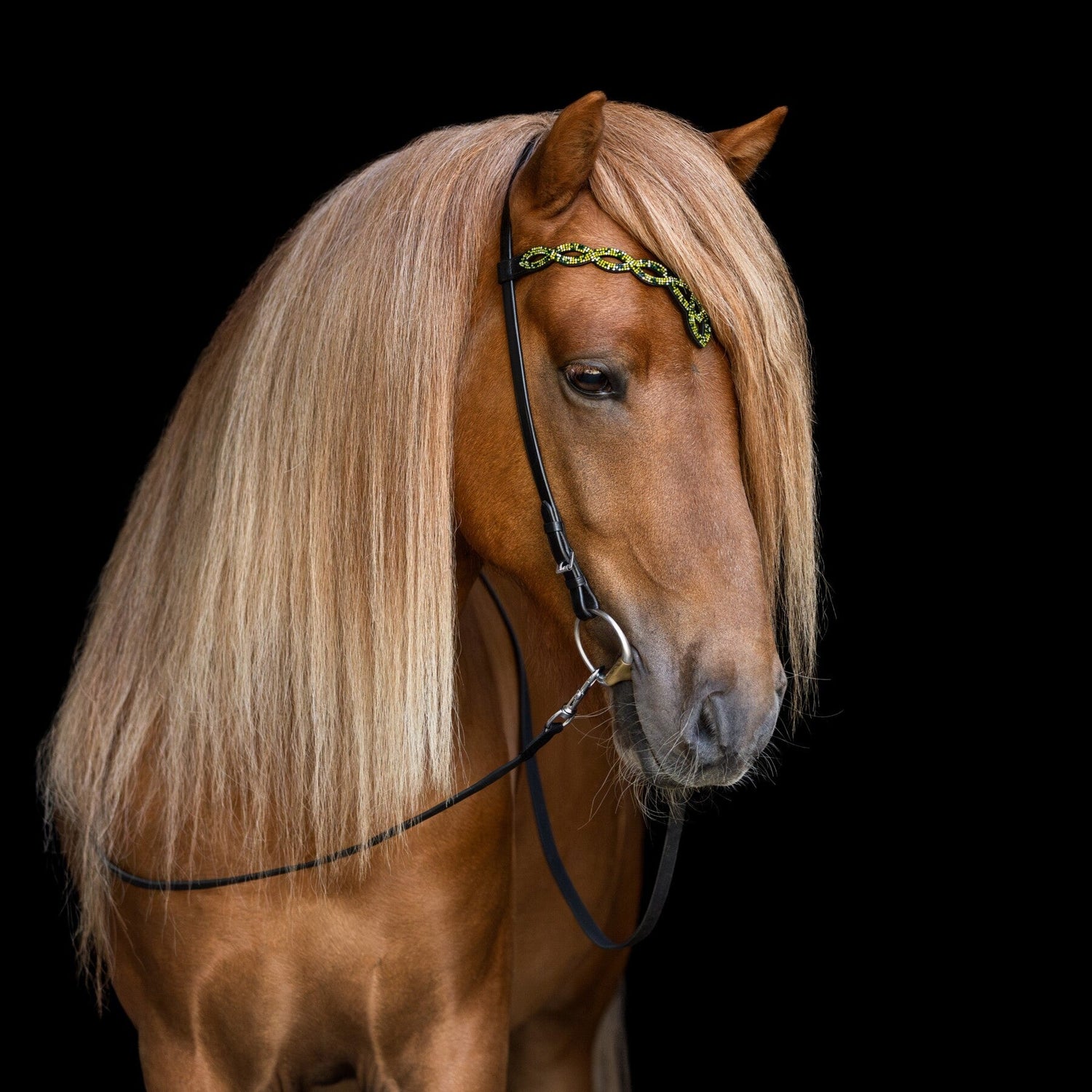 Island Träns, Huvudlag och Grimmor