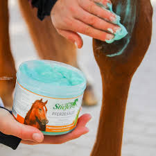 Hud- & Sårvård Häst