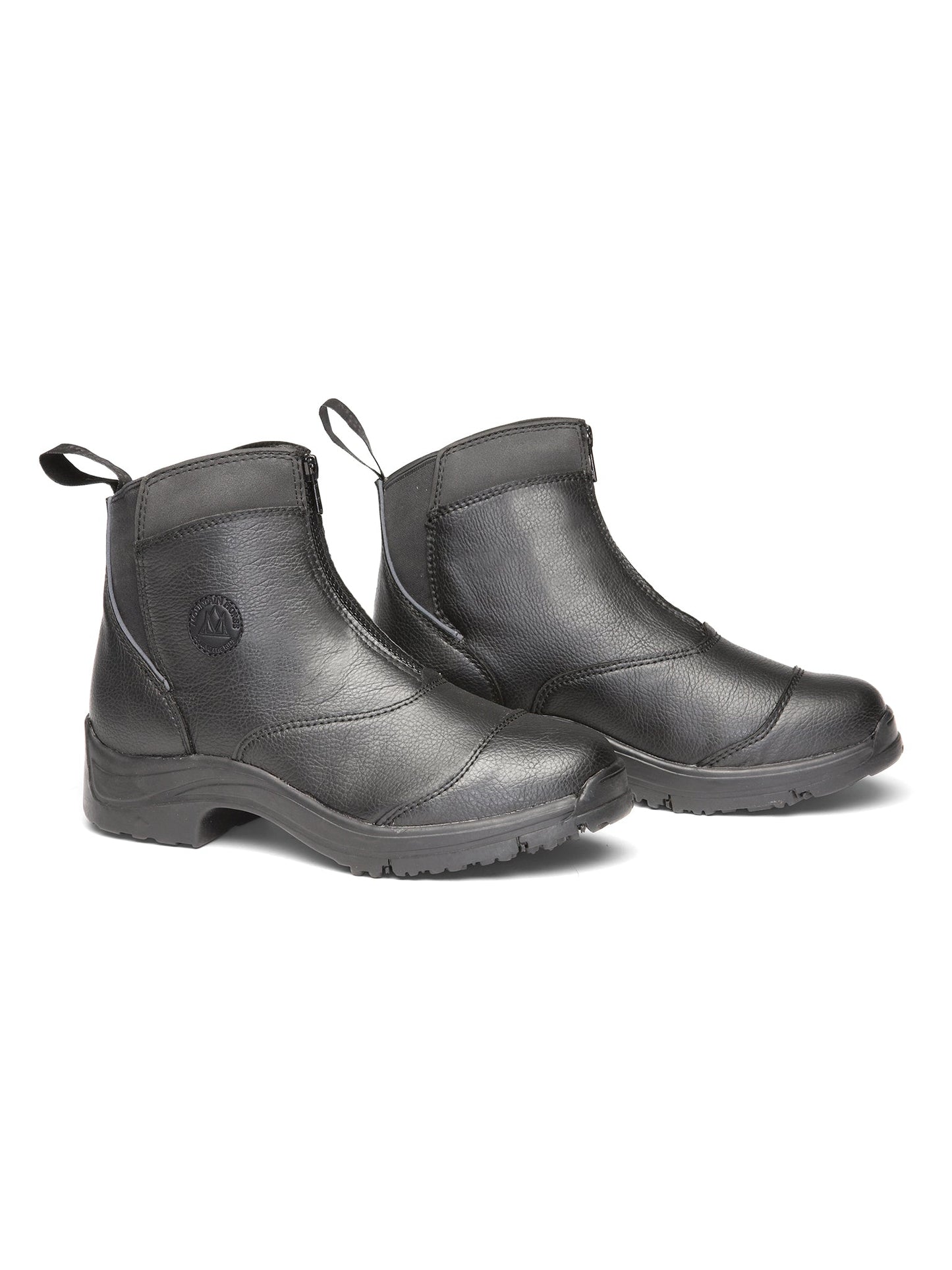 Active Winter Paddock