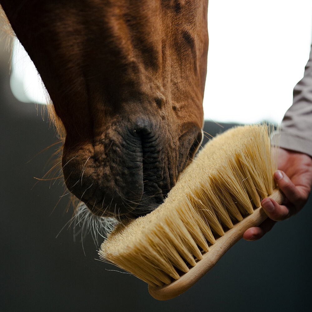 Borstiq Farm Midjeborste Mexfiber 7cm borst