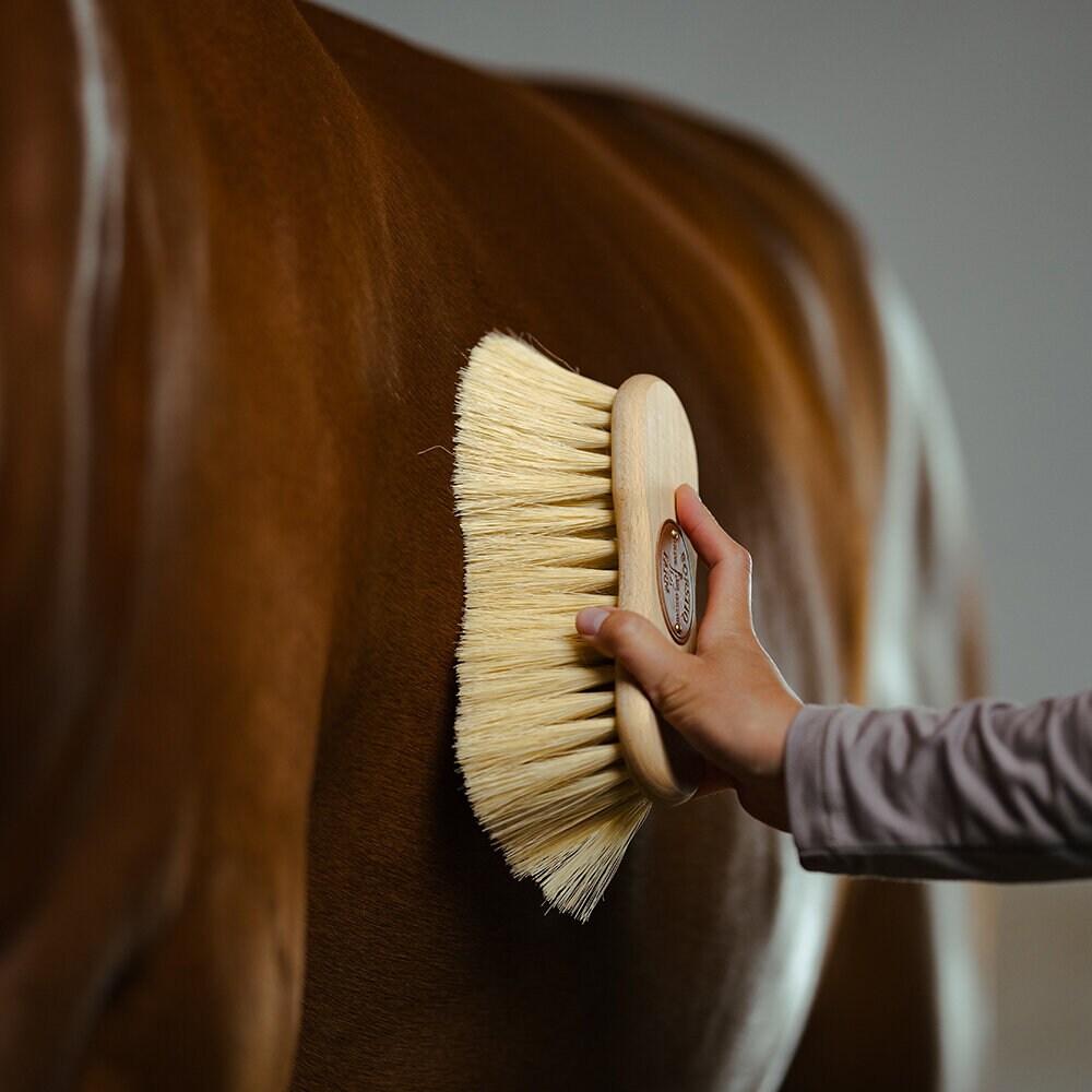Borstiq Farm Midjeborste Mexfiber 7cm borst