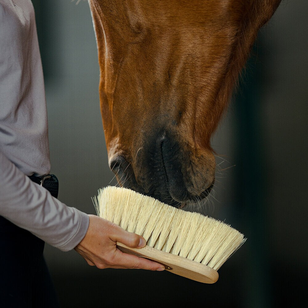 Borstiq Farm Midjeborste Mexfiber 7cm borst