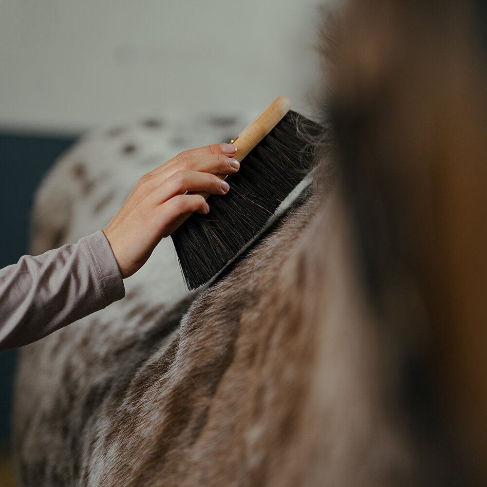 Borstiq Farm Midjeborste Arenga