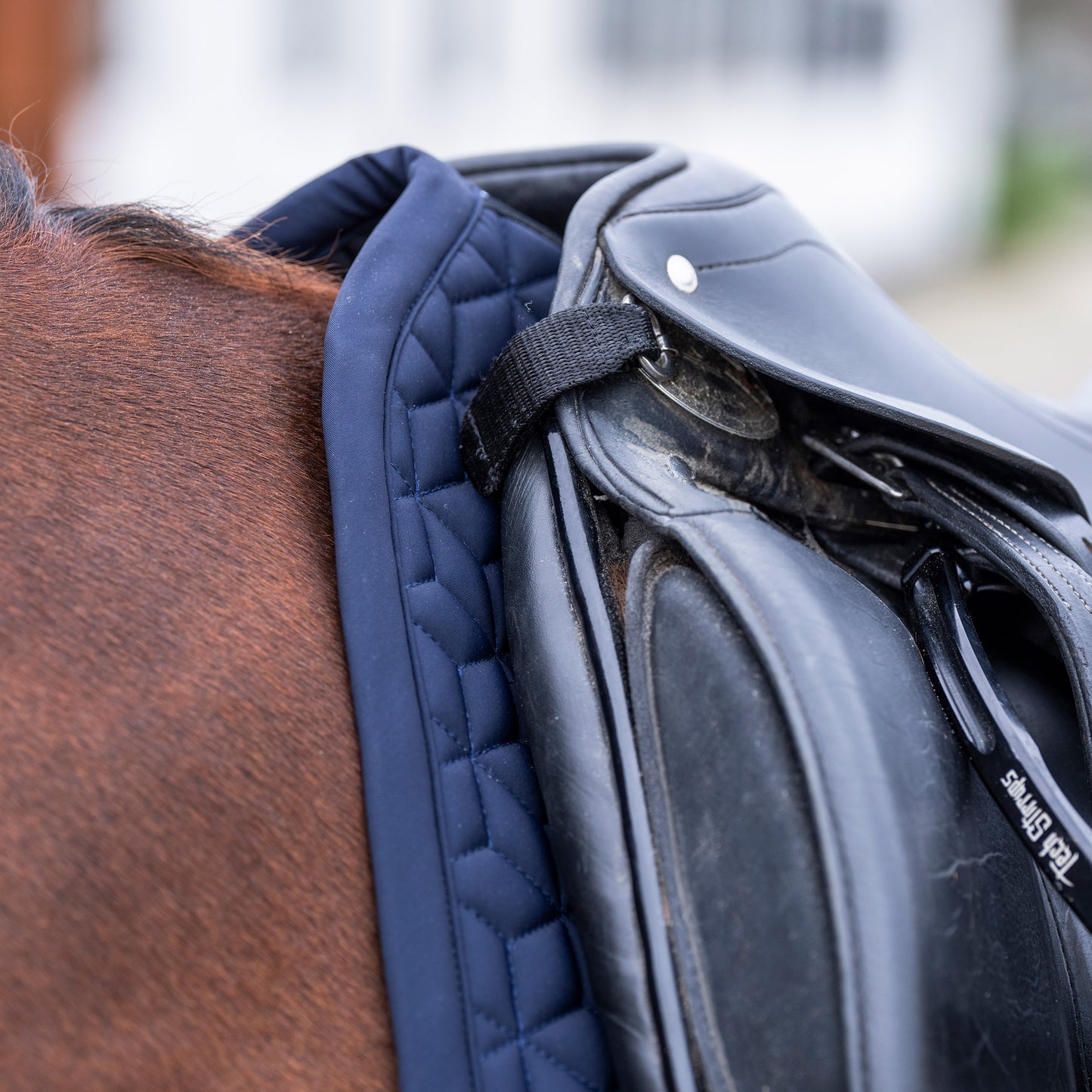 HVPolo Dressyrschabrak Essential, Navy