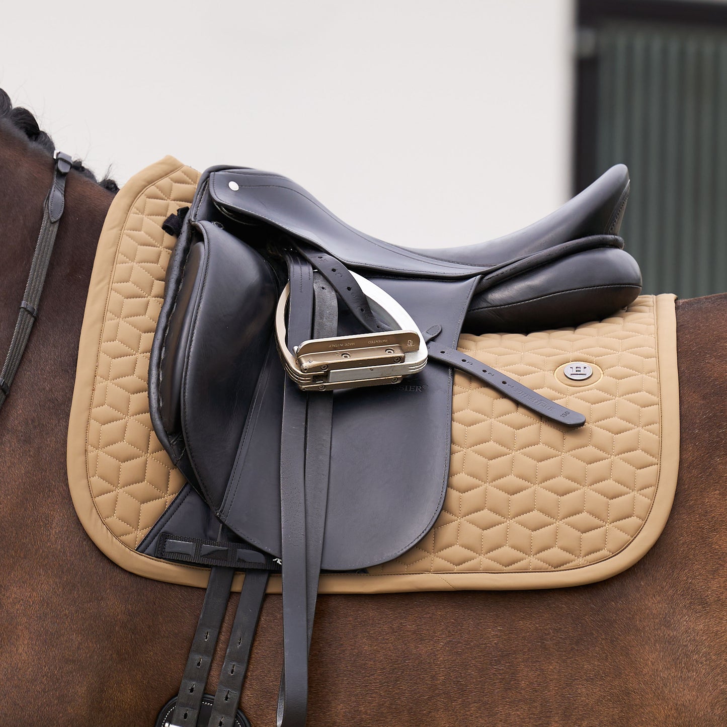 HVPolo Dressyrschabrak Essential, Straw