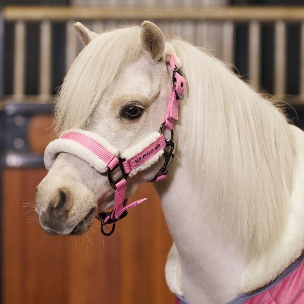 HVPolo Headcollar HVPSacha