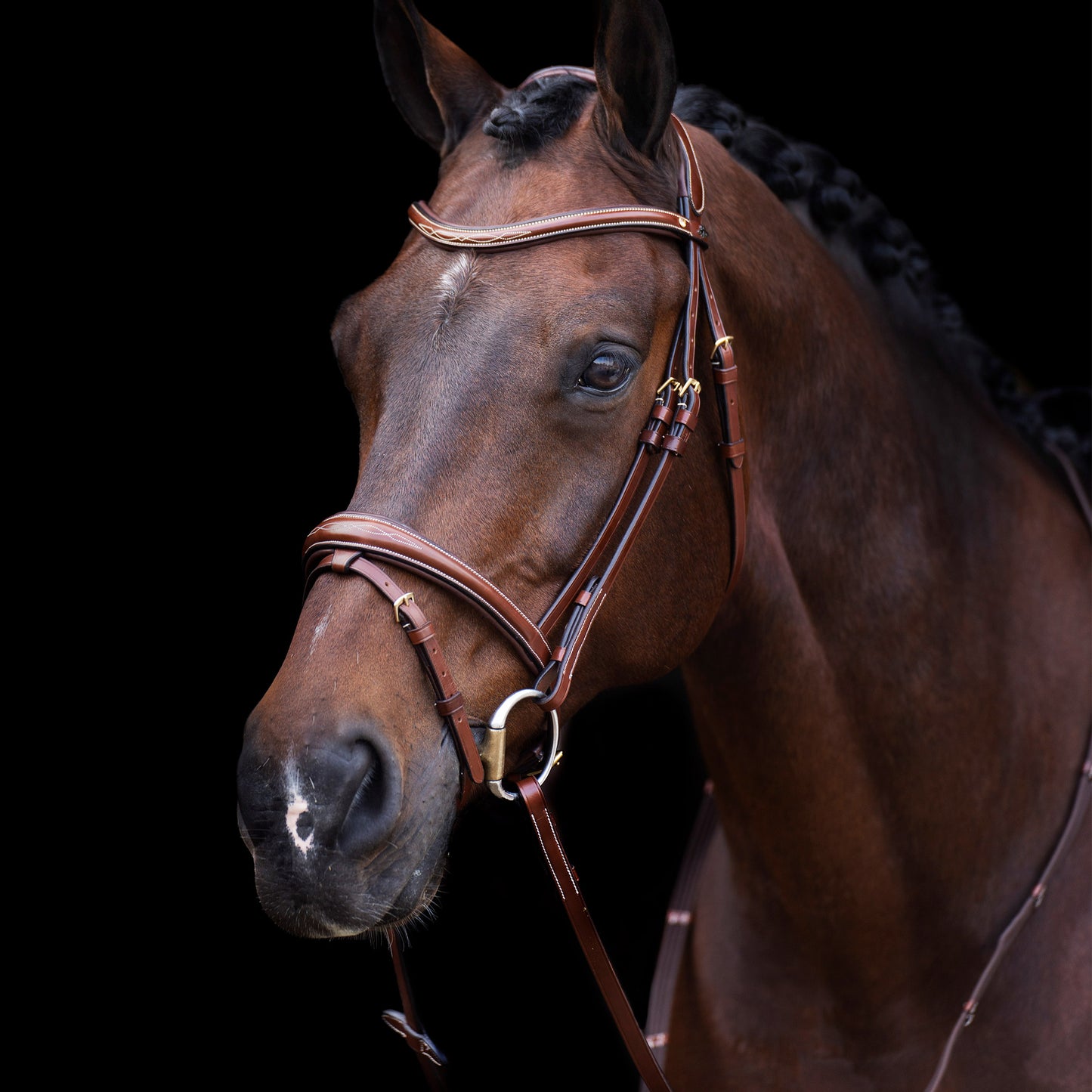 HVPolo Träns HVPLegacy, Brun
