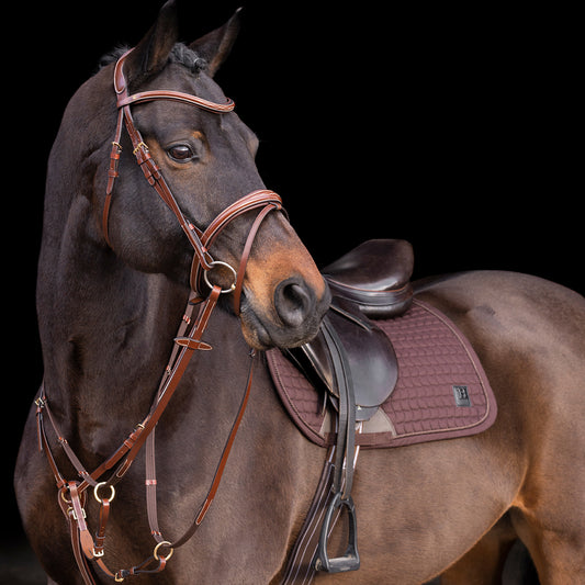 HVPolo Legacy Förbygel med Martingal, Brun