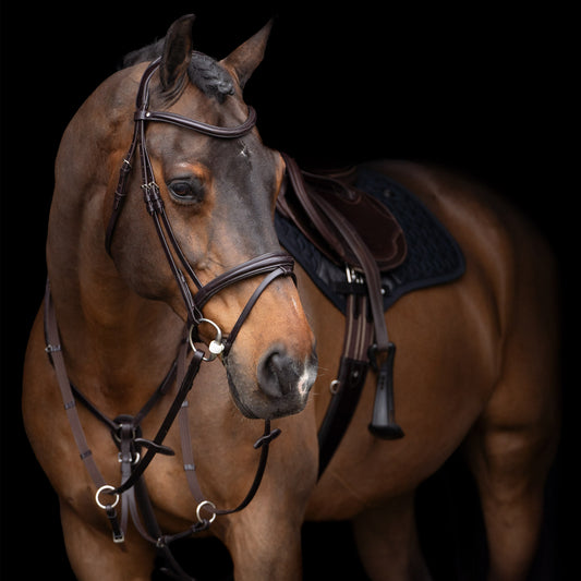 HVPolo Legacy Förbygel med Martingal, Mörkbrun