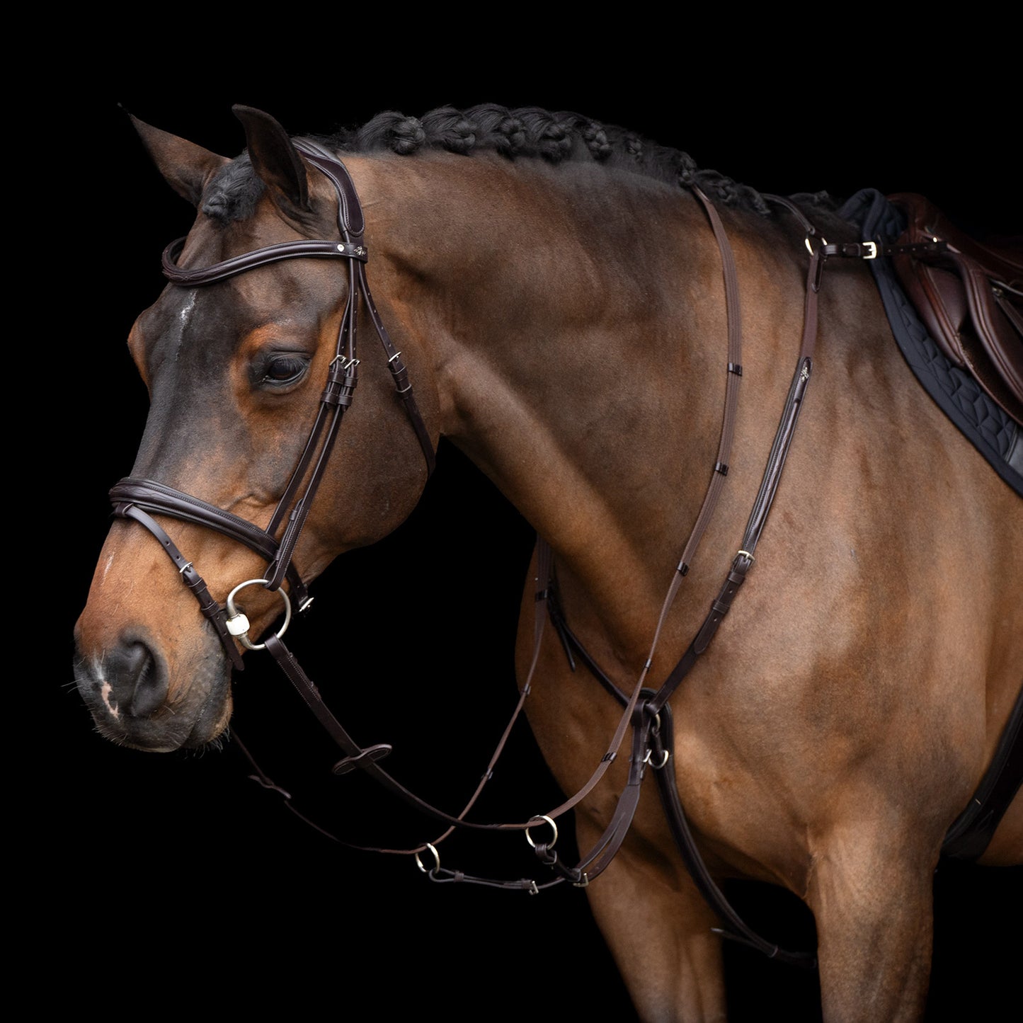 HVPolo Legacy Förbygel med Martingal, Mörkbrun