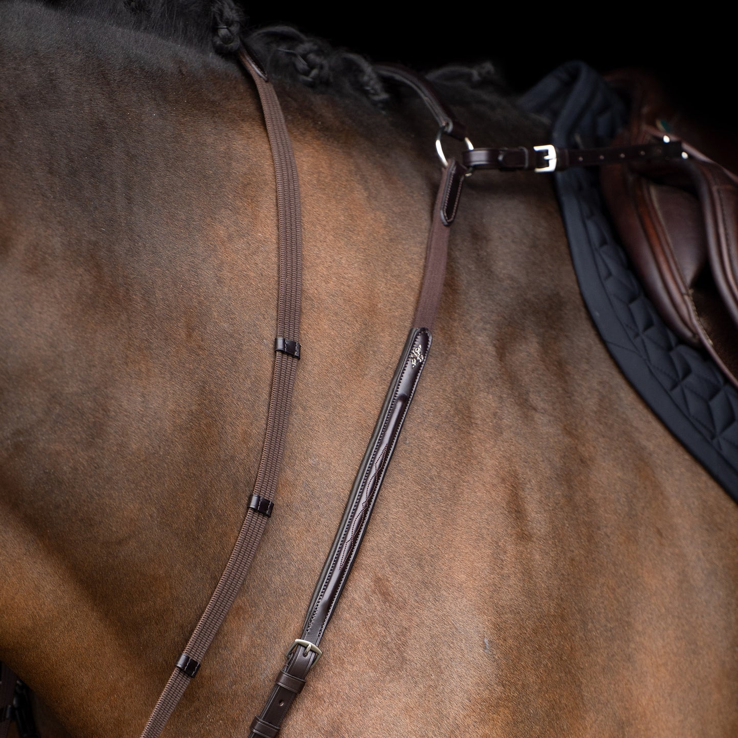 HVPolo Legacy Förbygel med Martingal, Mörkbrun