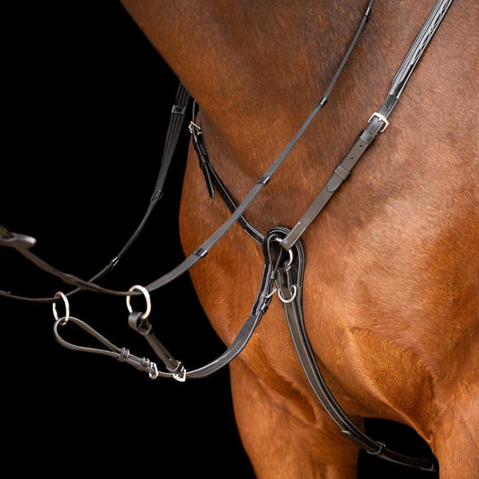 HVPolo Legacy Förbygel med Martingal, Svart