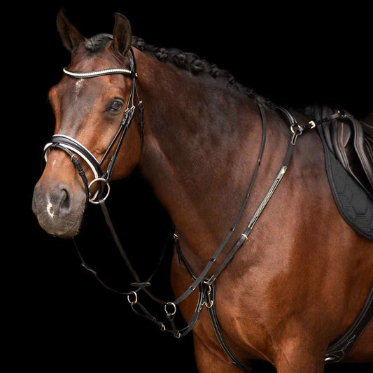 HVPolo Legacy Förbygel med Martingal, Svart