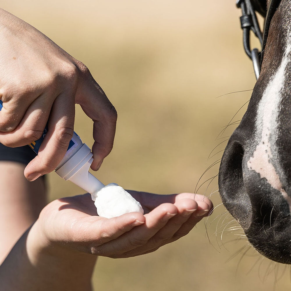 BioSun SPF 50