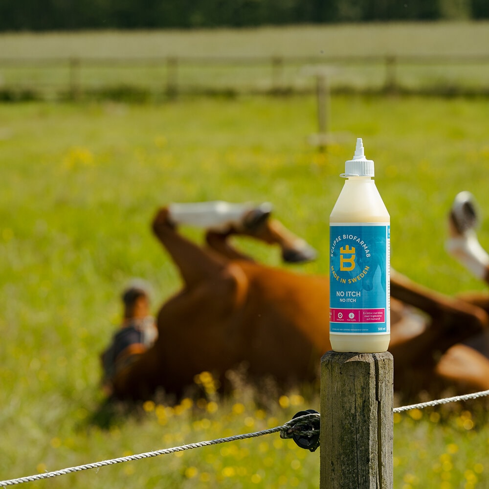 No itch 500ml