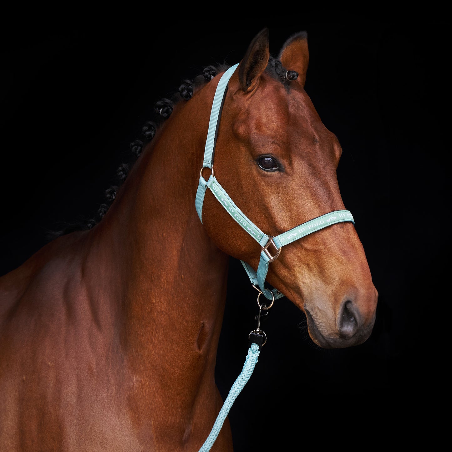 HVPolo Grimma HVPNena -Flera färger