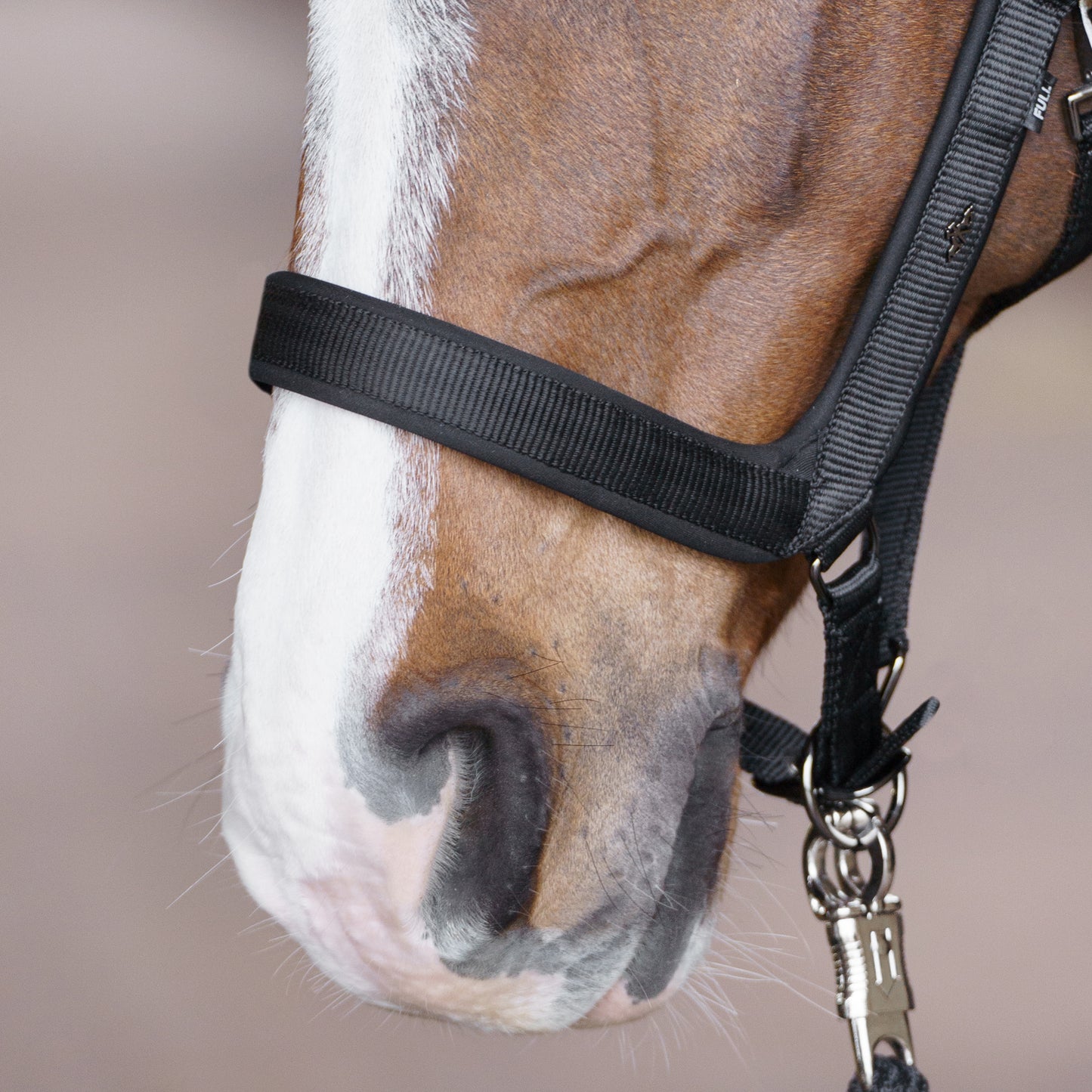 HVPolo Grimma Essential - Flera färger