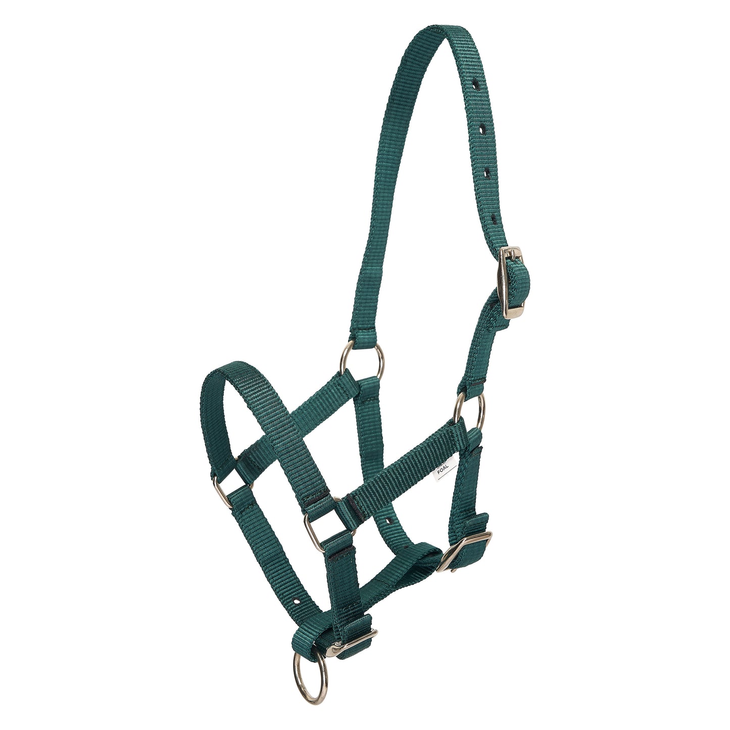 HVPolo Fölgrimma Nena