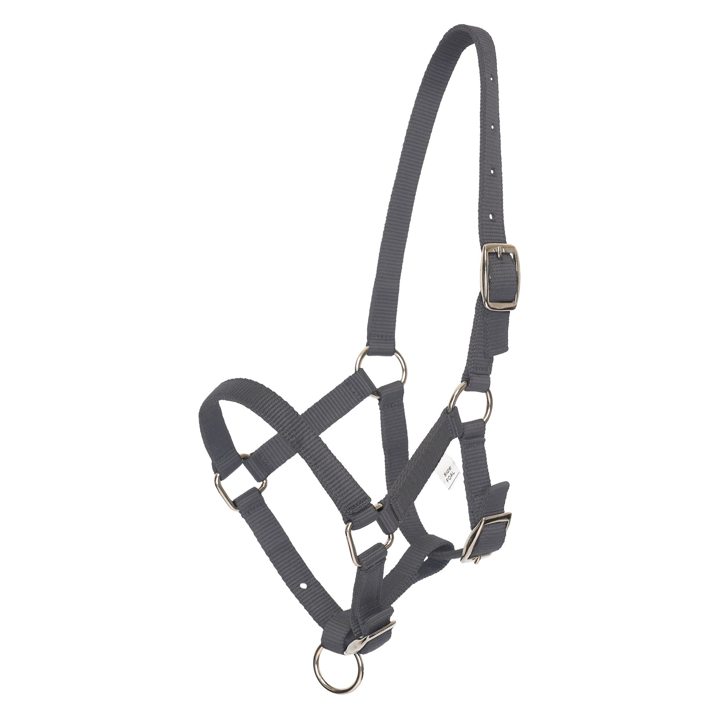 HVPolo Fölgrimma Nena