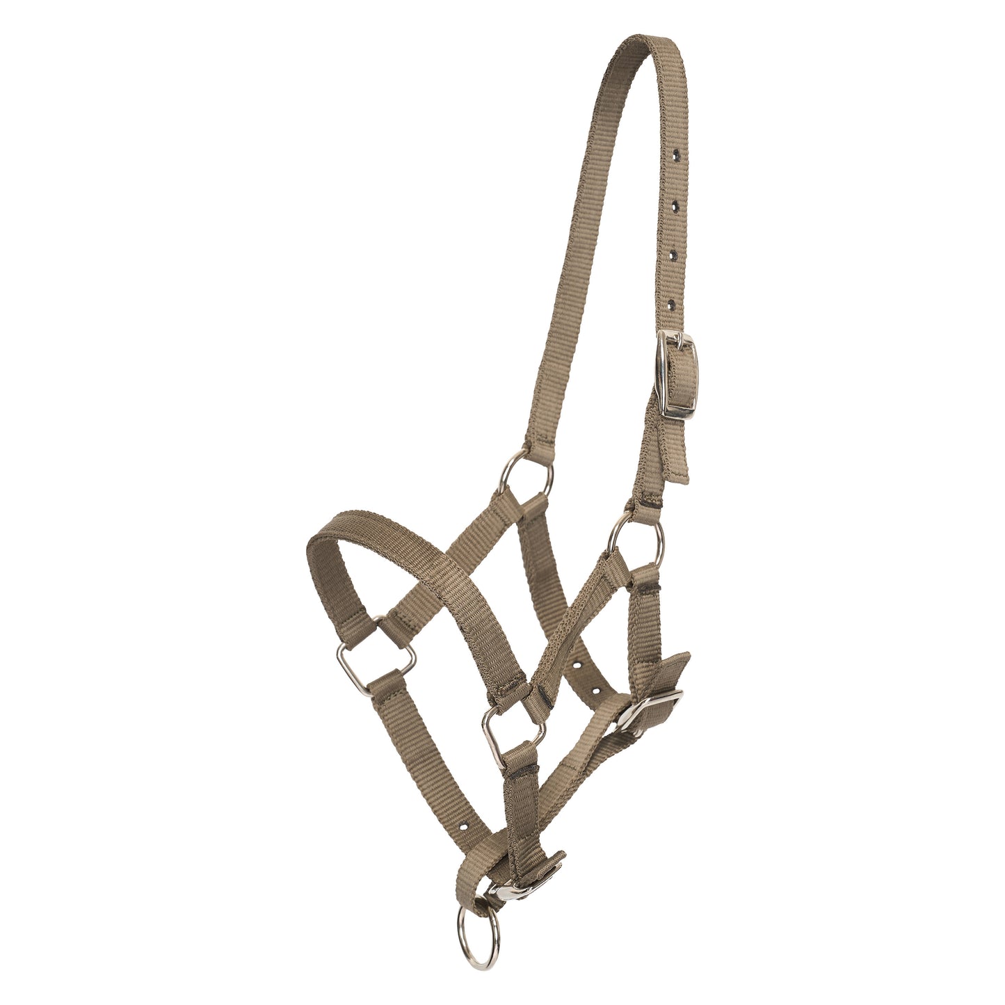 HVPolo Fölgrimma Nena