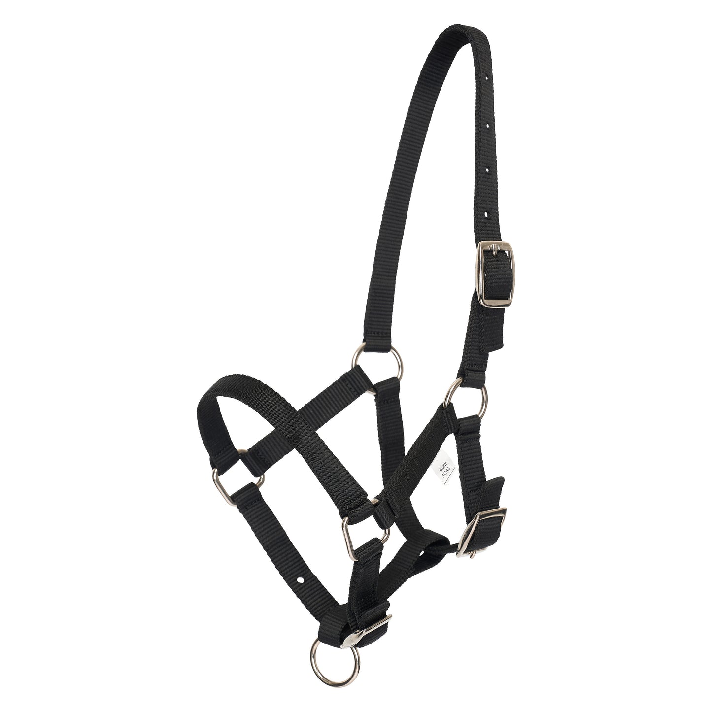 HVPolo Fölgrimma Nena