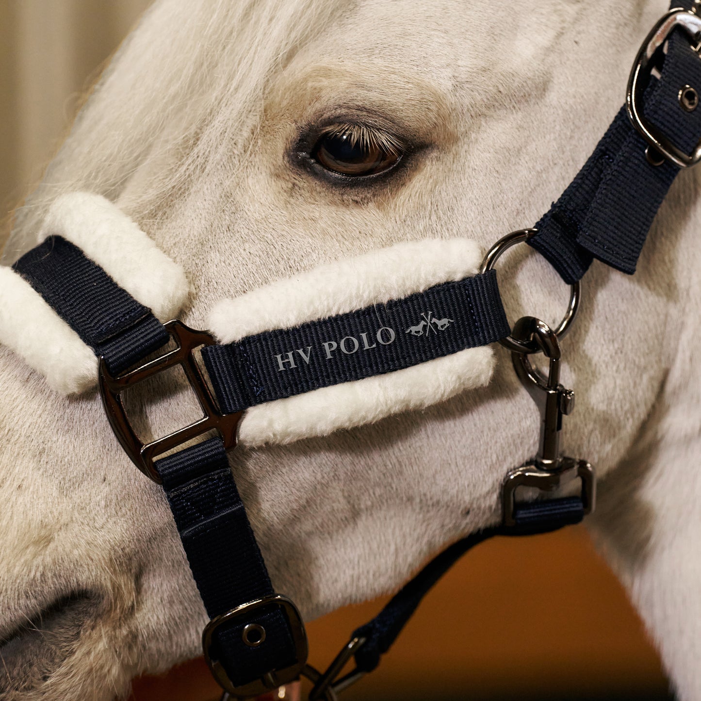 HVPolo Grimma HVPSacha
