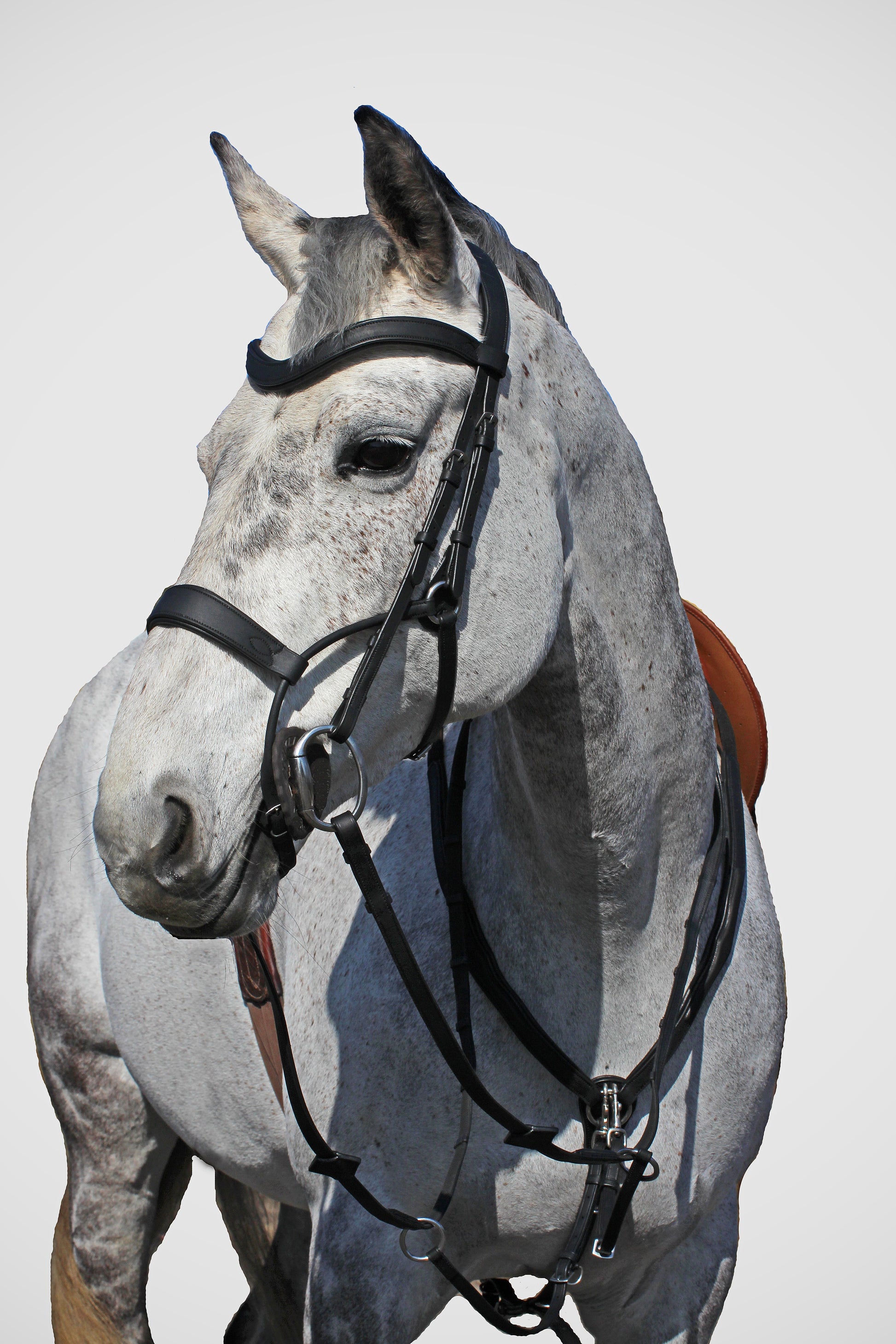 Melefors Equestrians Träns High Jump ME