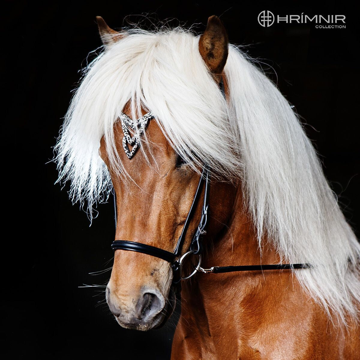 Grimma Heritage - Unity