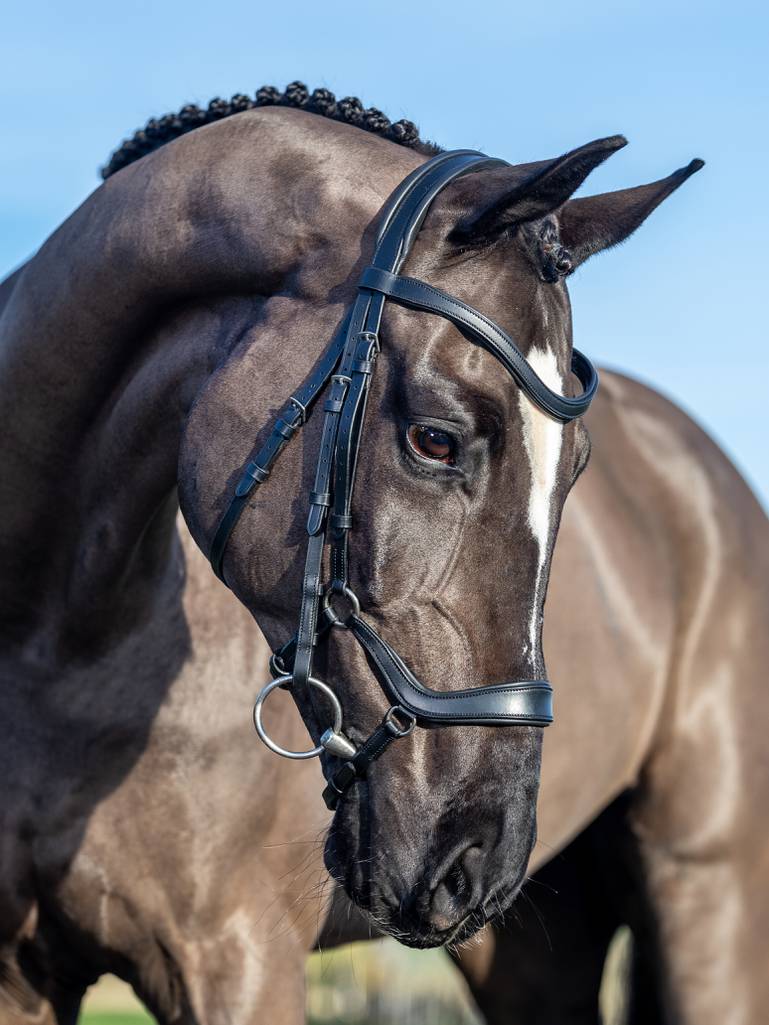 LM Arika Drop Bridle Svart/Silver