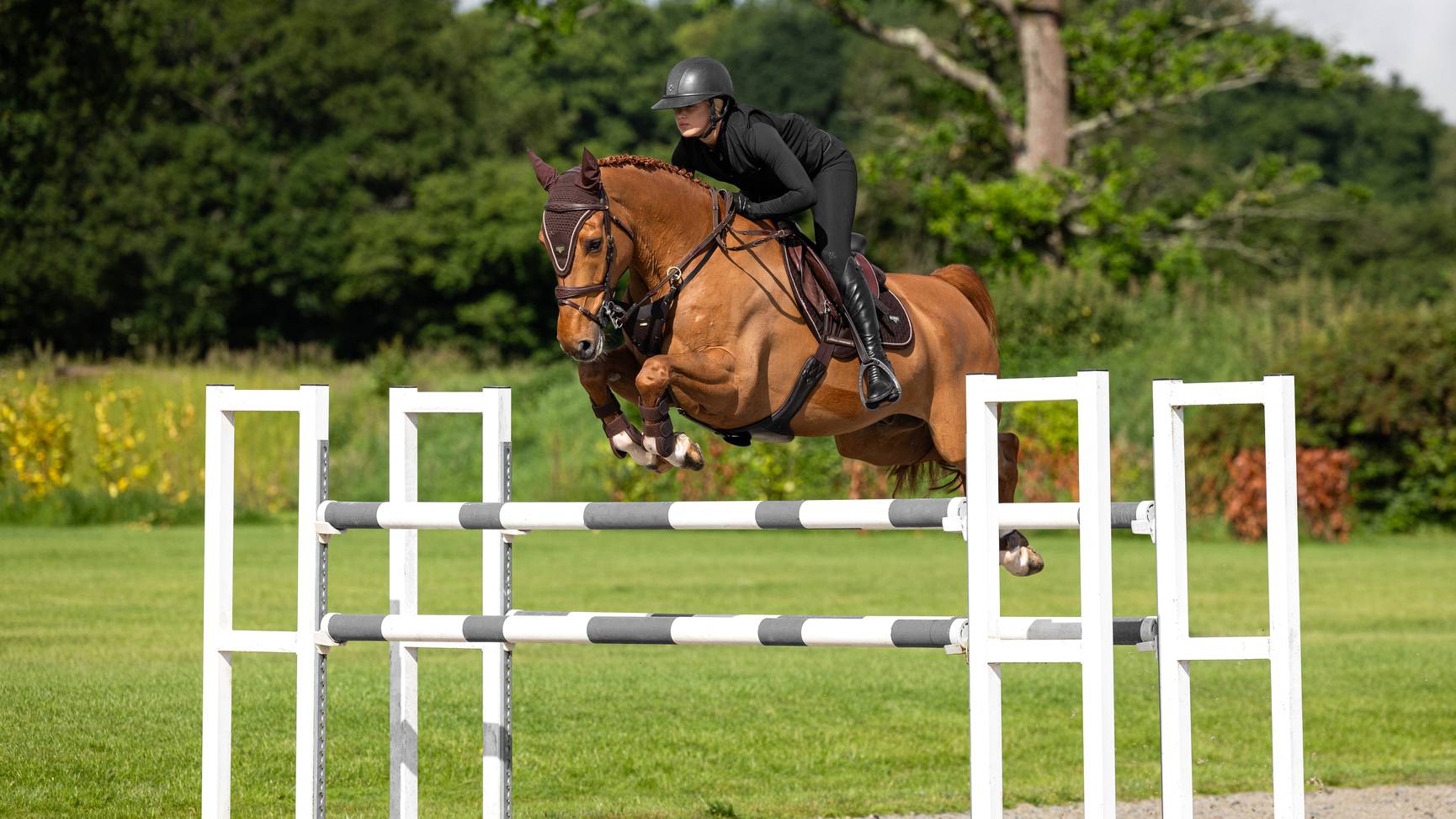 Puissance Suede CC Pad Brun