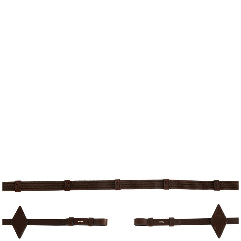 BR Reins Web