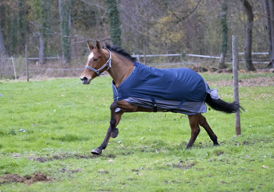 EQUITHEME Tyrex 600 D Turnout Täcke Navy/Grå