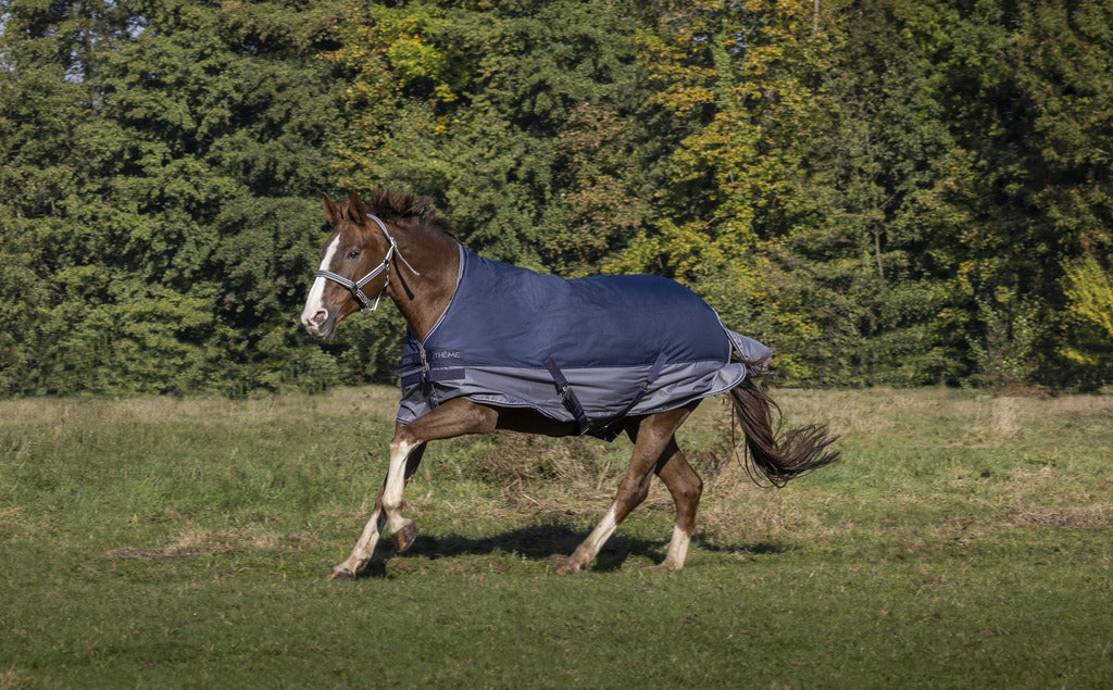 EQUITHÈME Tyrex 600 D Turnout Täcke High Neck Navy/Grå 0 g